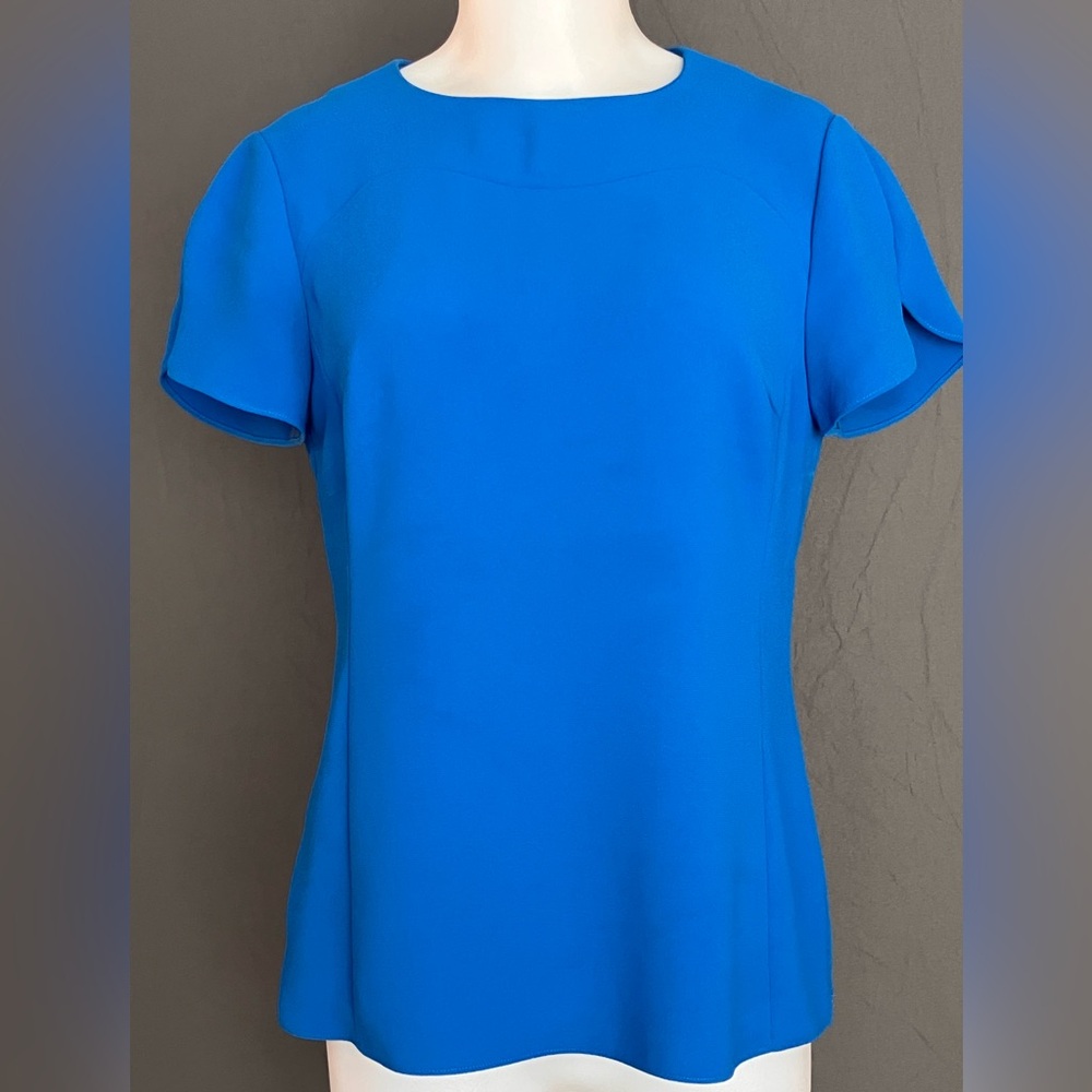 Ted Baker London Sophisticated Blue Blouse